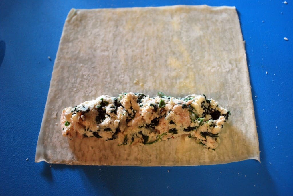 Chicken Cannelloni Roll