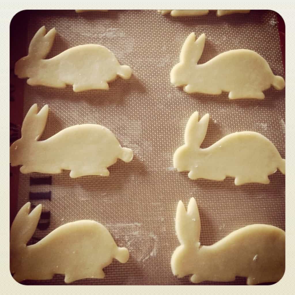 BunniesIG Bunnies
