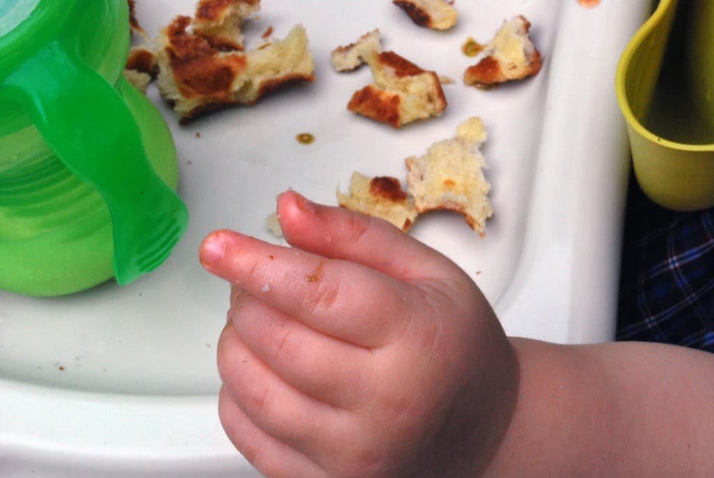 BabySugarWaffleFingers Baby Sugar Waffle Fingers