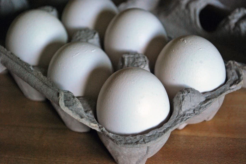 Eggs