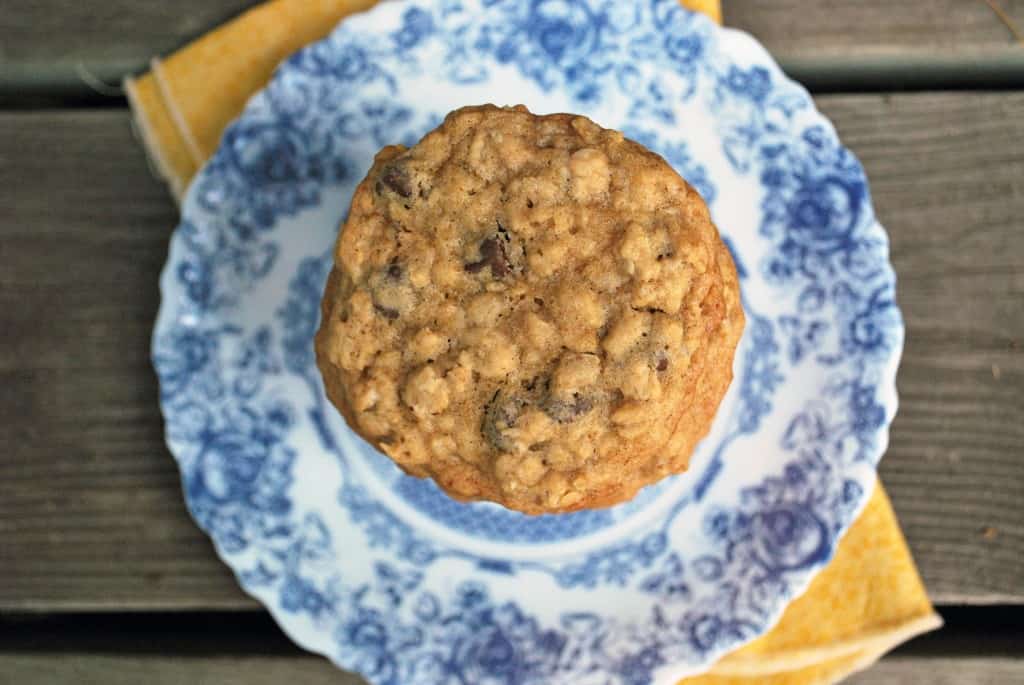 Oatmeal Chocolate Chip Cookie