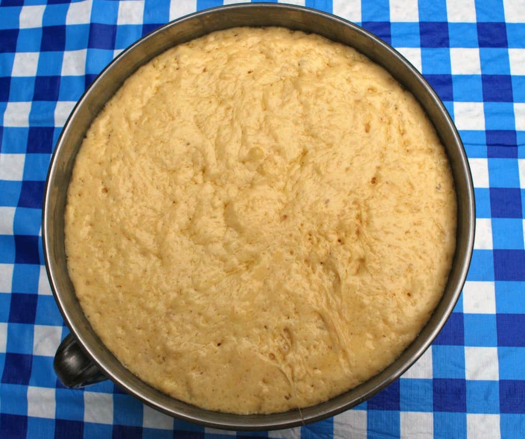 RisenWaffleDough Risen Waffle Dough