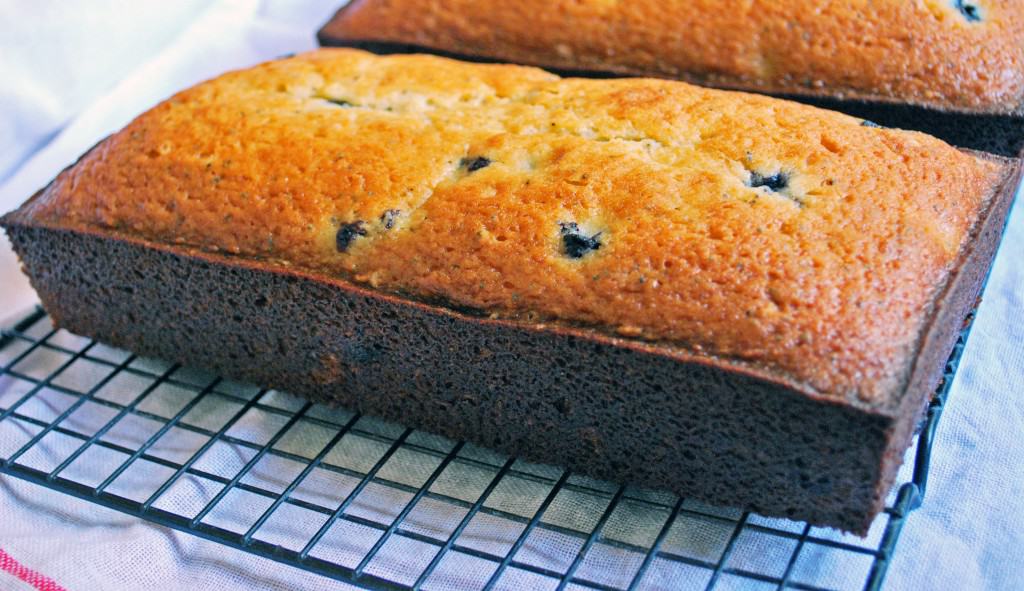 Blueberry Poppy Seed Loaf