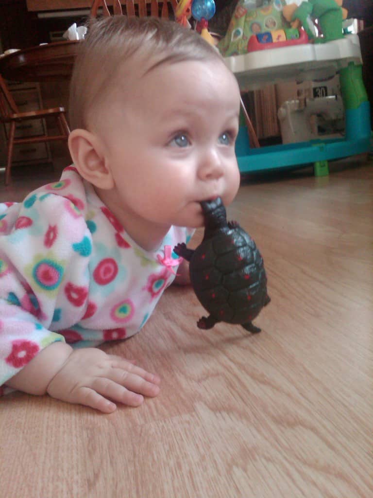 Lola with Turtle