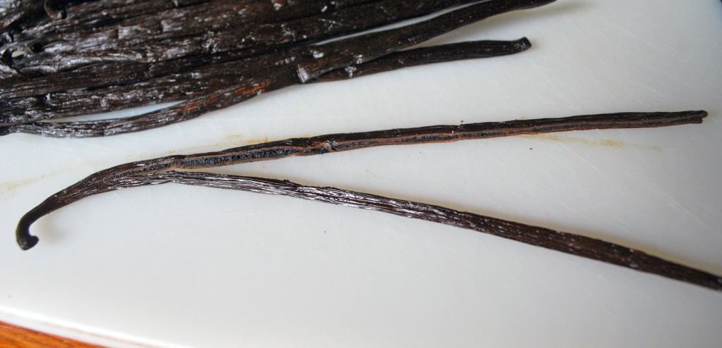 VanillaBeanCut Vanilla Bean Cut