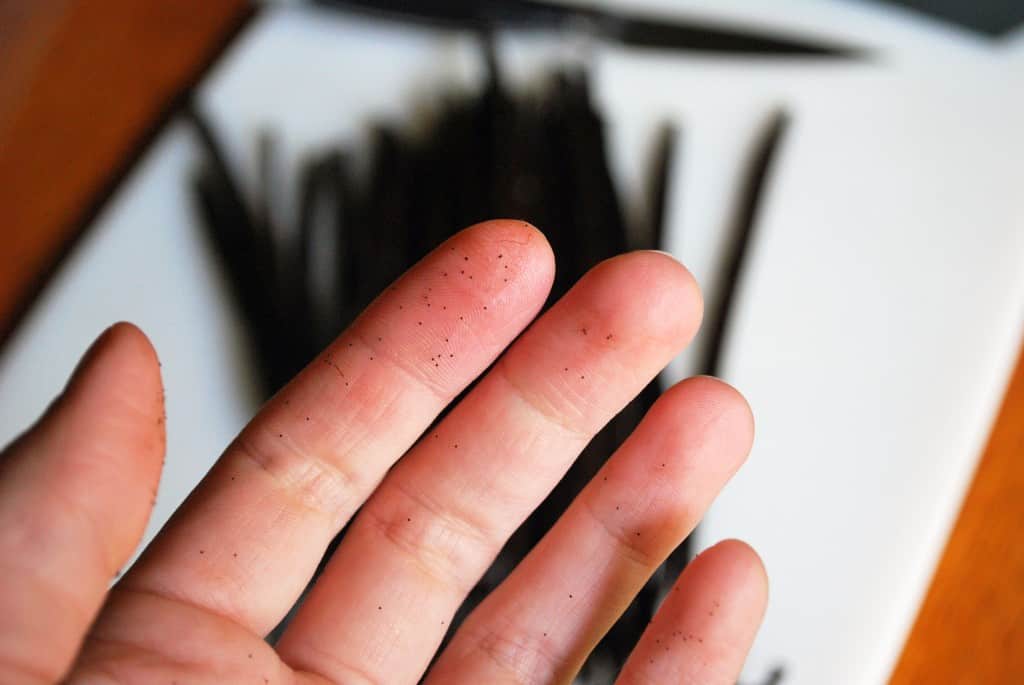 VanillaBeanFingers Vanilla Bean Fingers