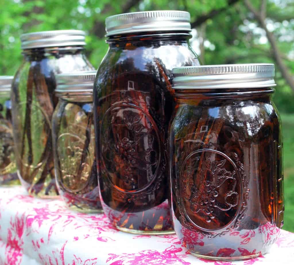 VanillaExtractLineUp Vanilla Extract