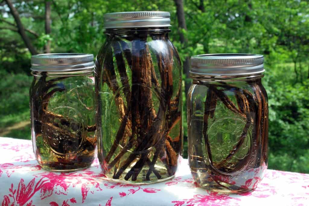 VanillaExtractVodka Vanilla Extract