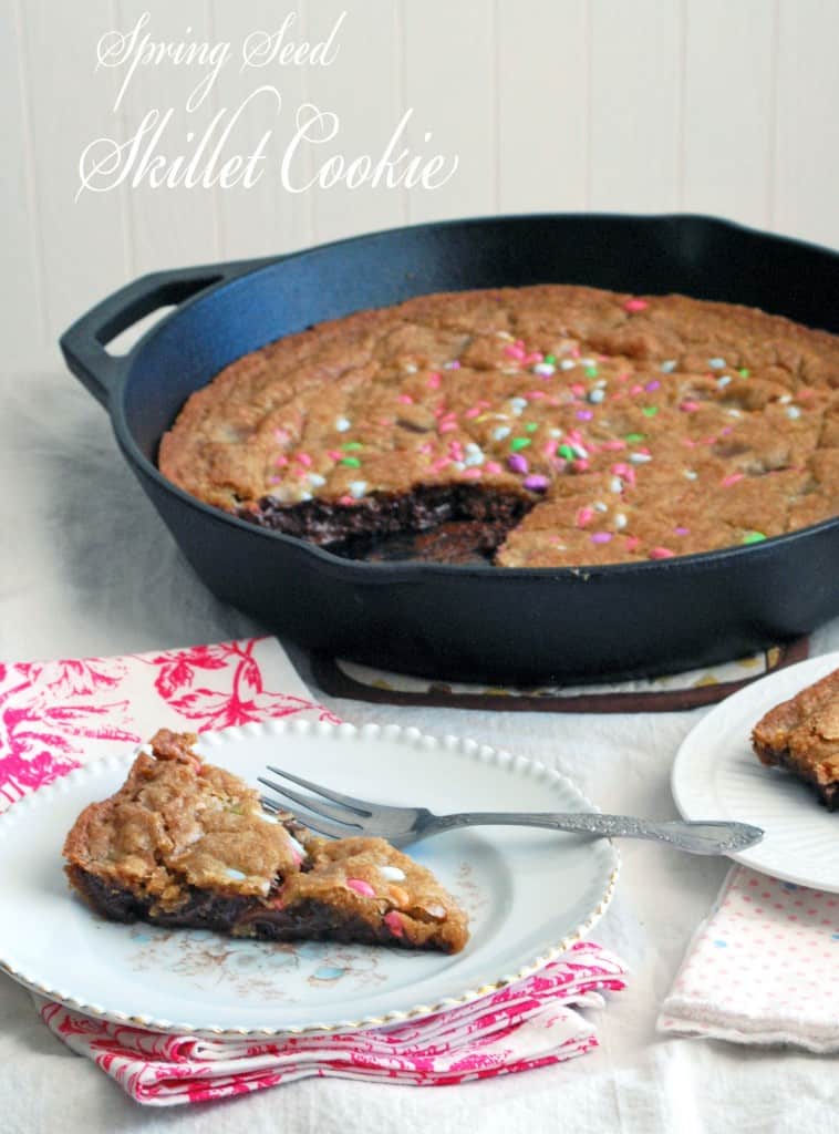 Spring Seed Skillet Cookie